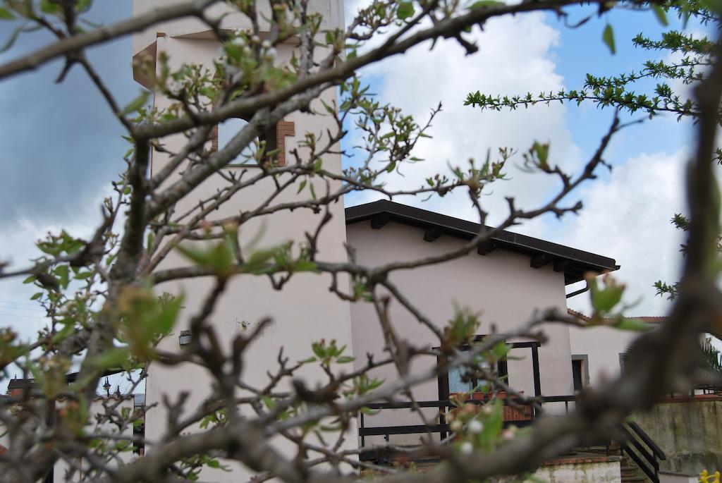 Agriturismo Torre Cristina Aprilia Bagian luar foto