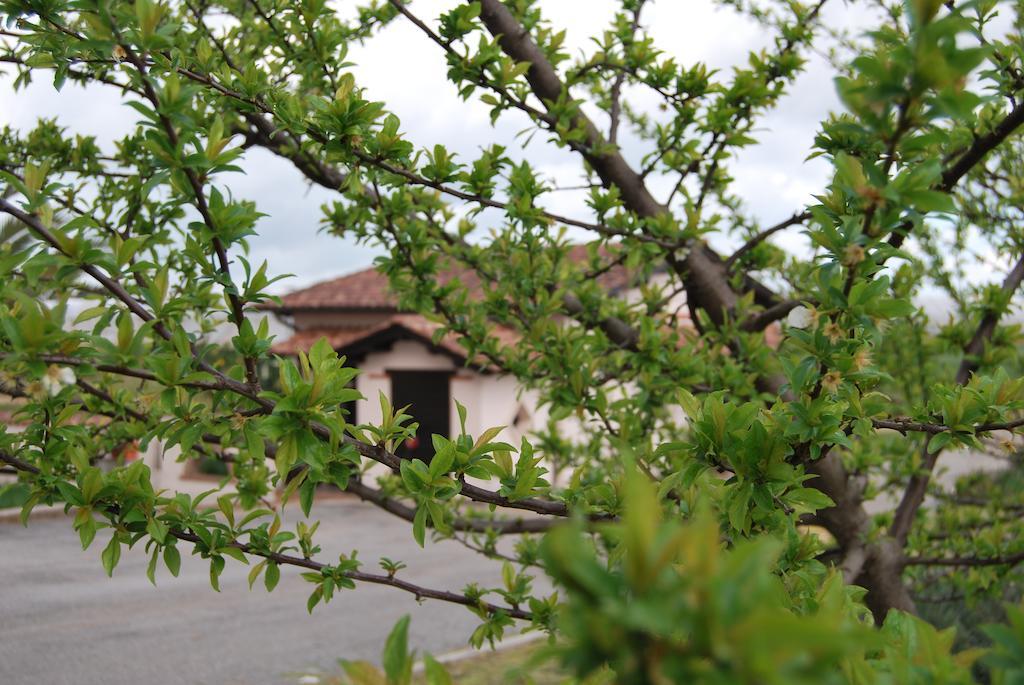 Agriturismo Torre Cristina Aprilia Bagian luar foto