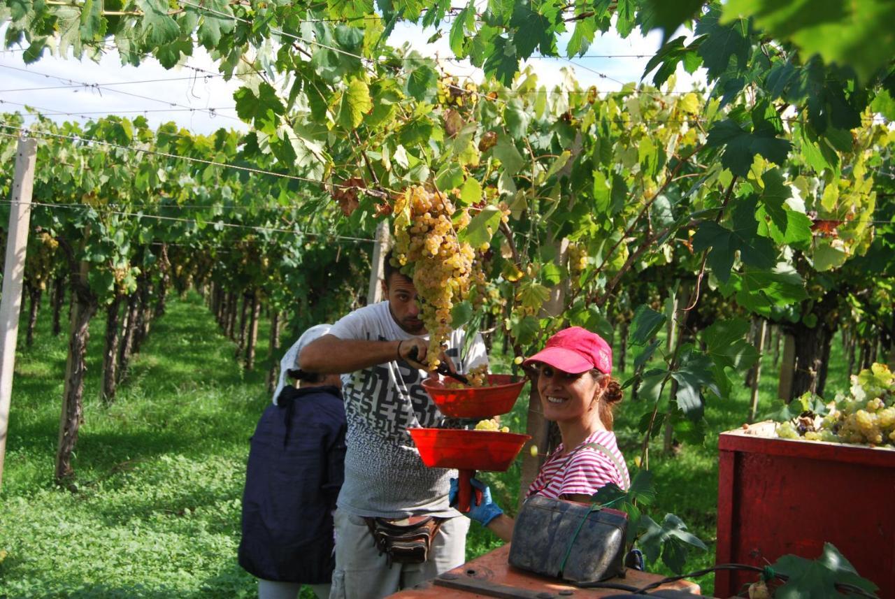Agriturismo Torre Cristina Aprilia Bagian luar foto